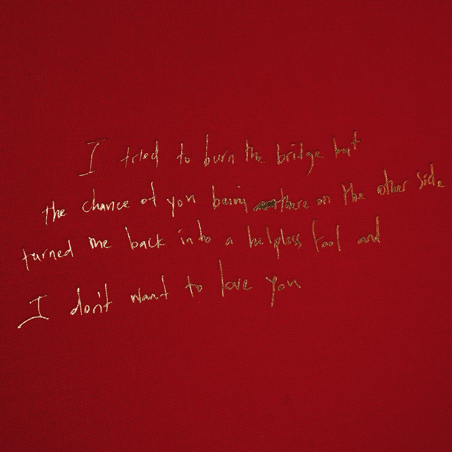 I Don't Wanna Love You