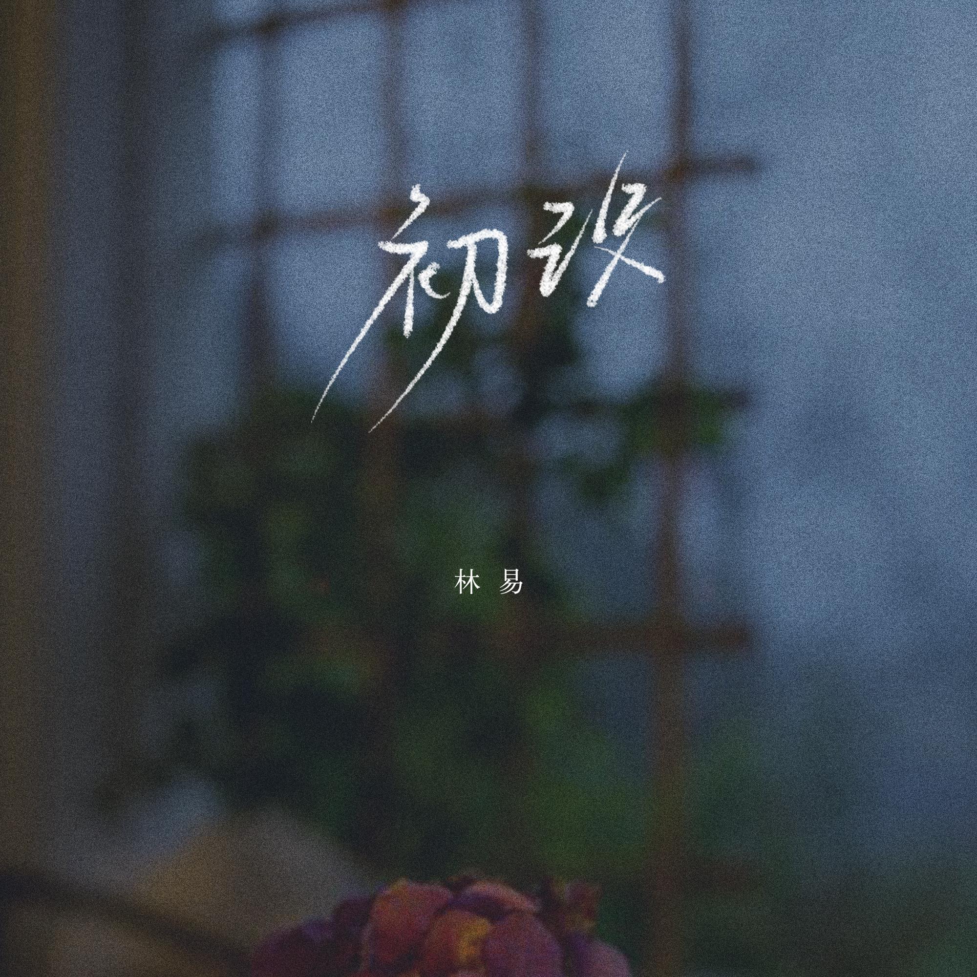 初识