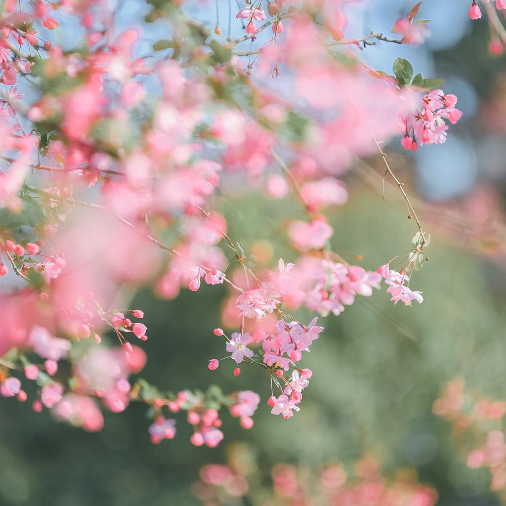 单曲循环精选（中文） | 在线播放 | 网易云音乐