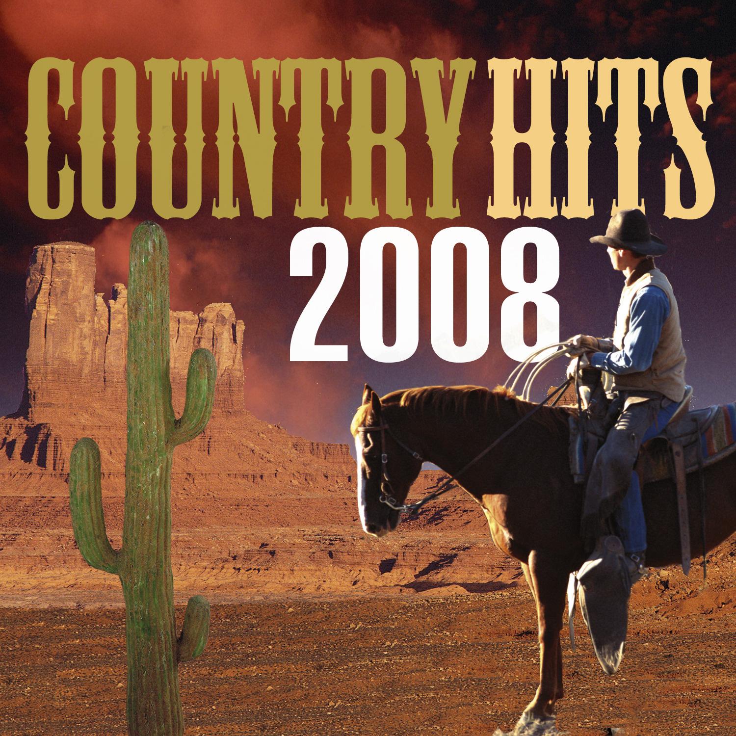 Country Hits 2008