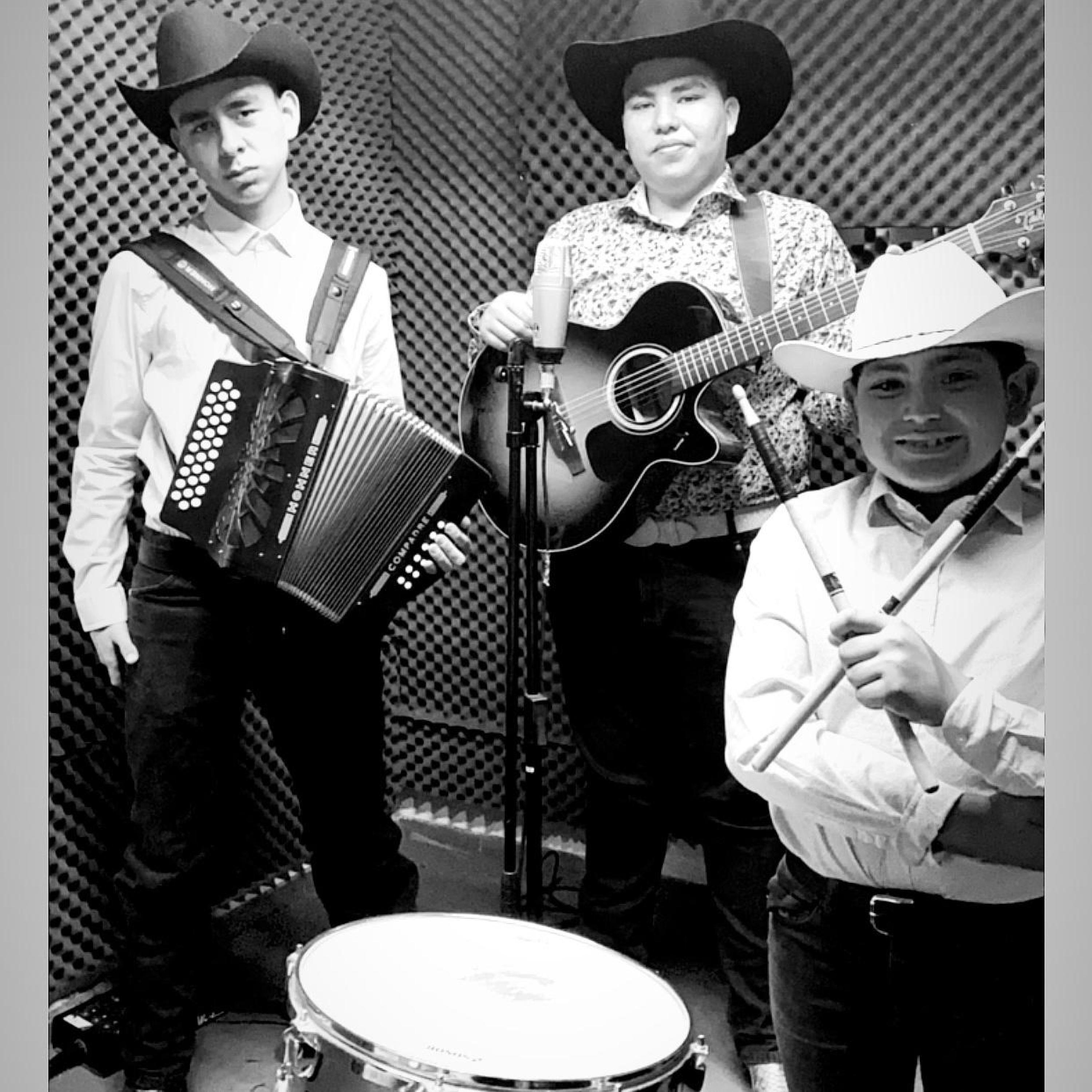 El Palomito (feat. Mario Alberto Martinez, Luis Antonio García & Jaime Gabriel Castillo)