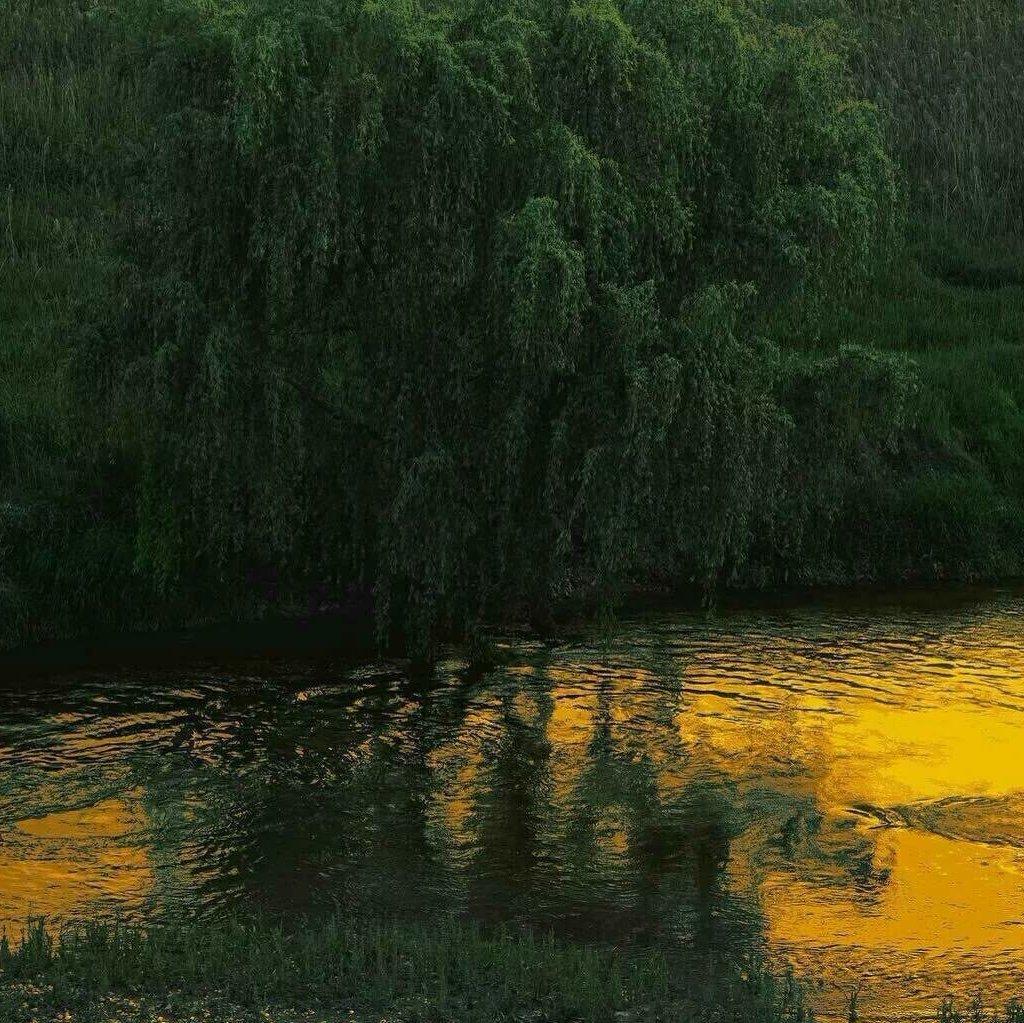 曾经唱遍大街小巷的经典怀旧粤语