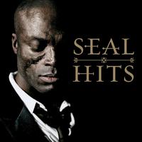 Crazy - Seal (unofficial Instrumental)