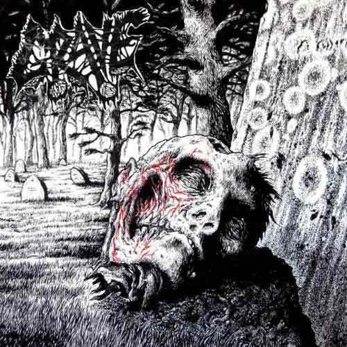  Necropsy-The Complete Demo Recordings 1986-1991