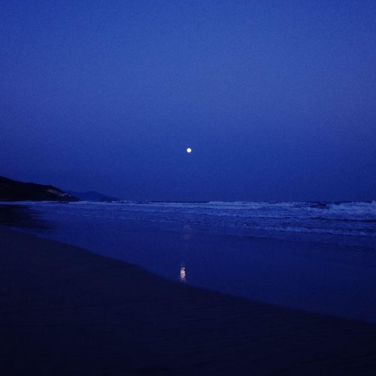 海在悲鸣