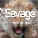 “Savage”专辑