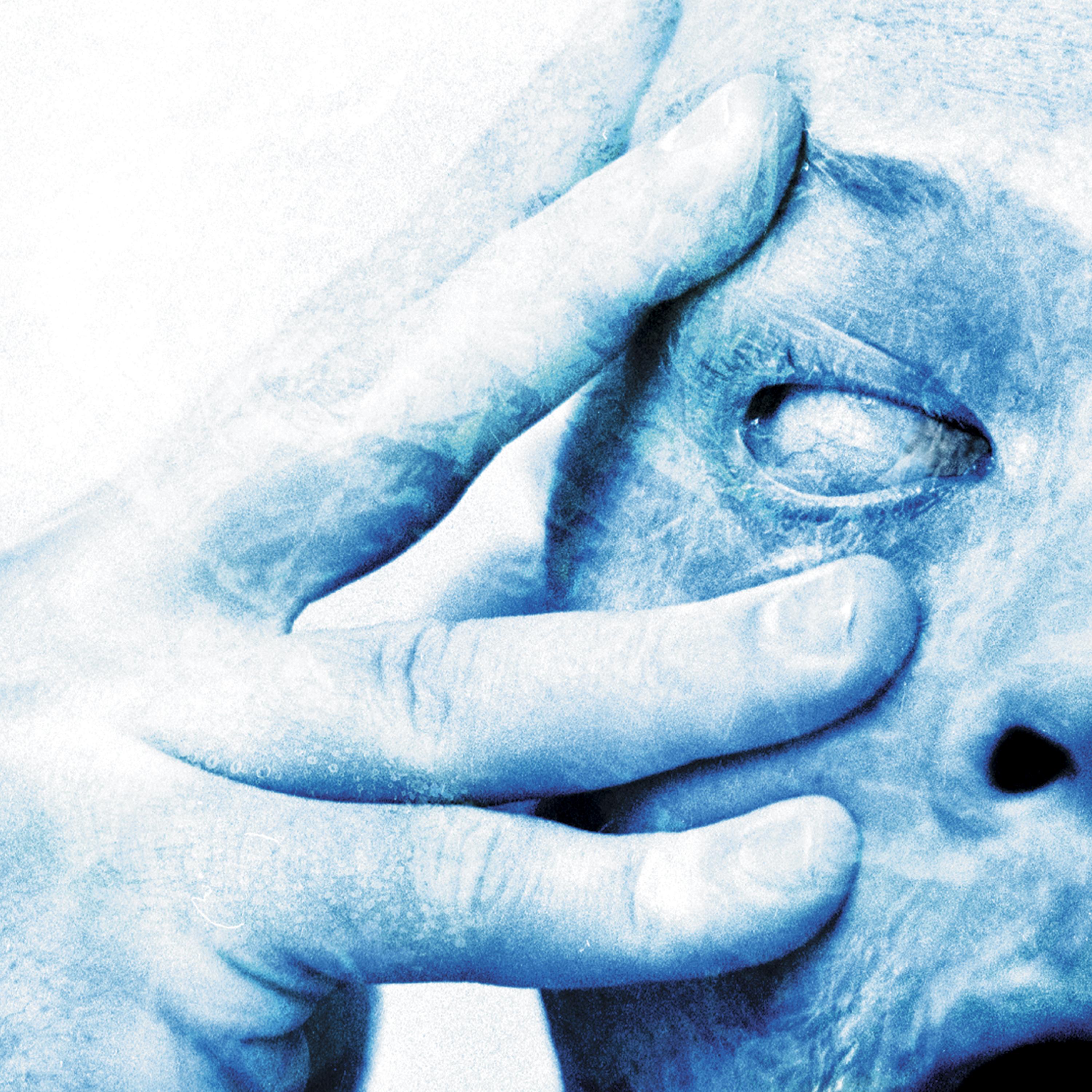 In Absentia [Deluxe - Remastered]