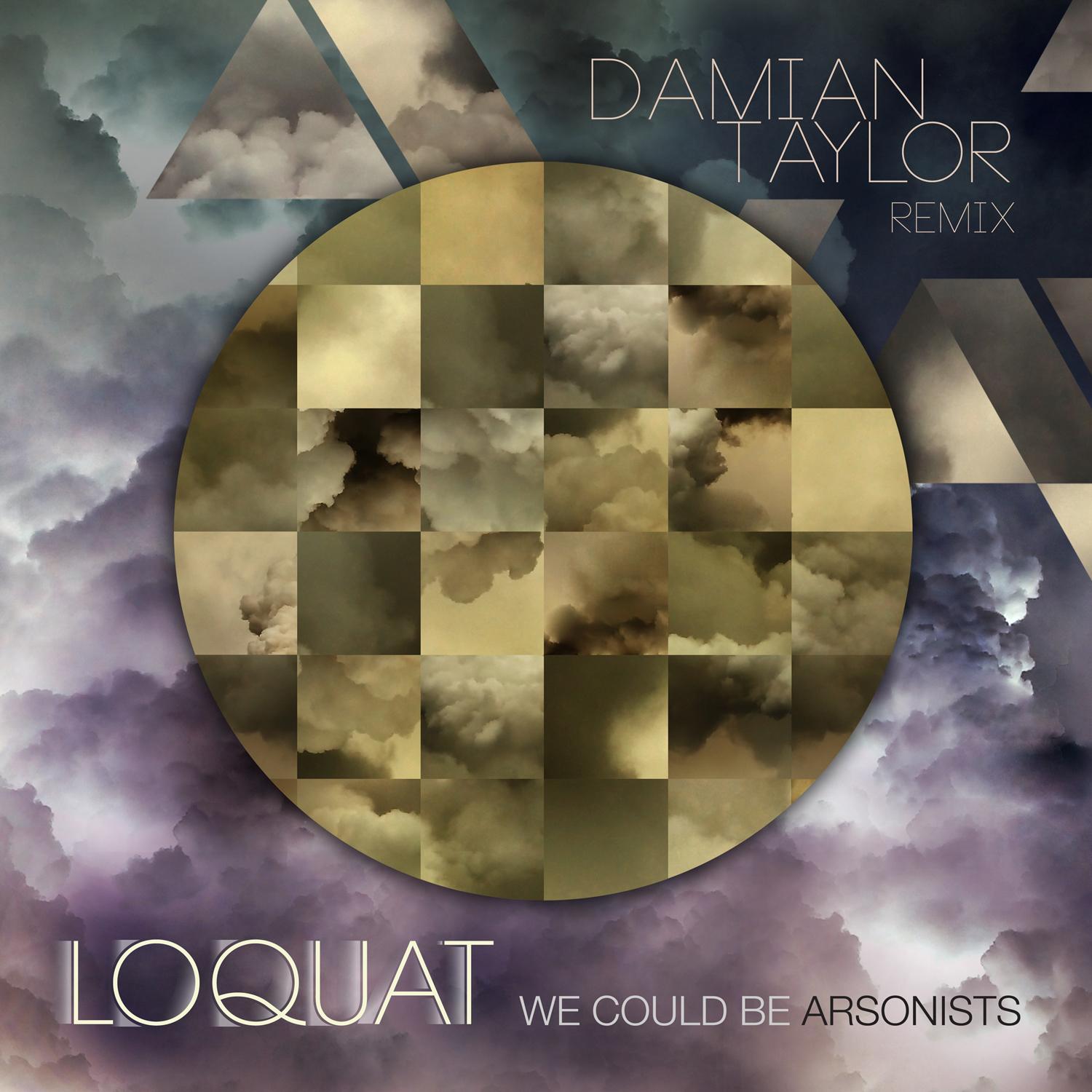 We Could Be Arsonists(Damian Taylor Remix)