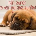 25 Rain Sleep Sounds for 8 Hours Sleep - Loopable Sounds for Sleep