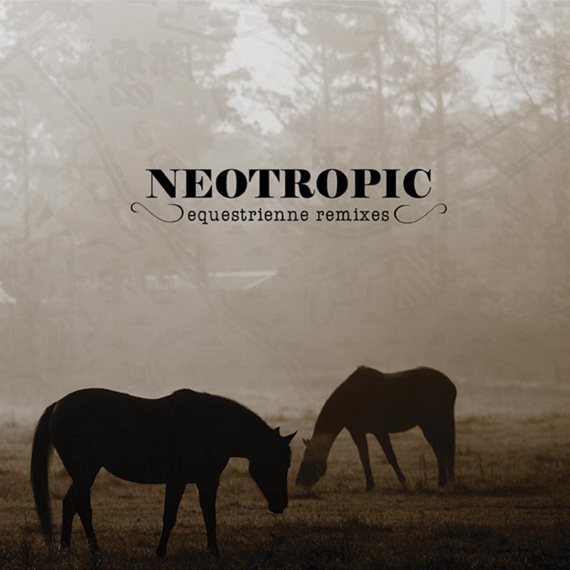 Neotropic - Muddy Water (Howpee Remix)