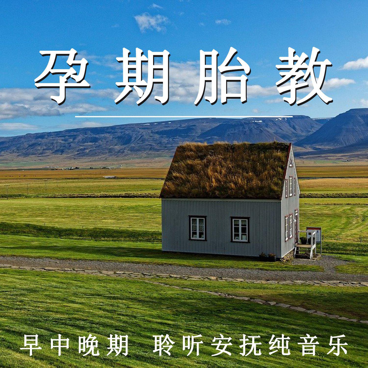 孕期胎教 早中晚期 聆听安抚纯音乐
