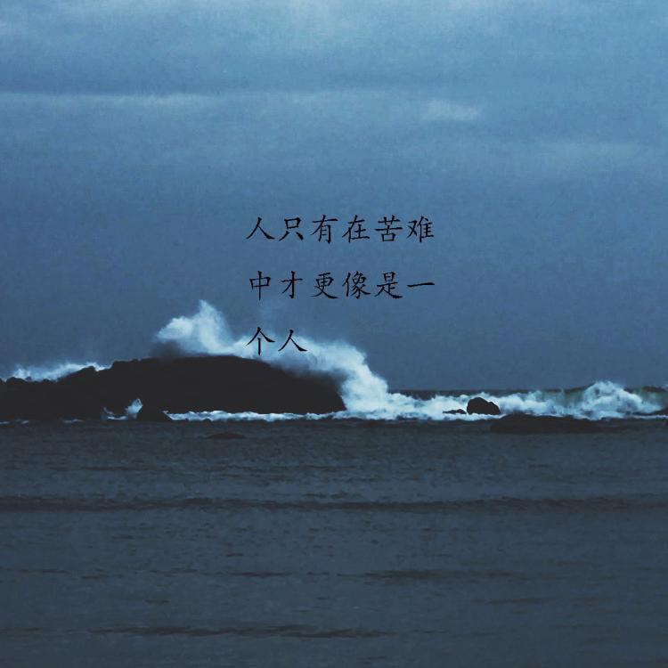 丨后摇治好了你多年的快乐丨