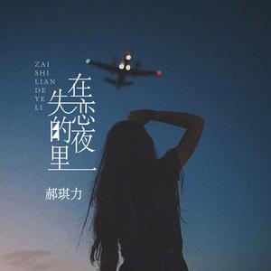 郝琪力 - 在失恋的夜里（原版伴奏）