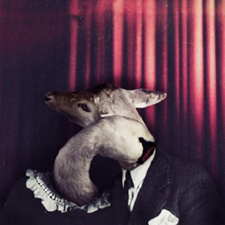 Head + Heart