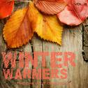 Winter Warmers - The Chillout Collection, Vol. 3专辑