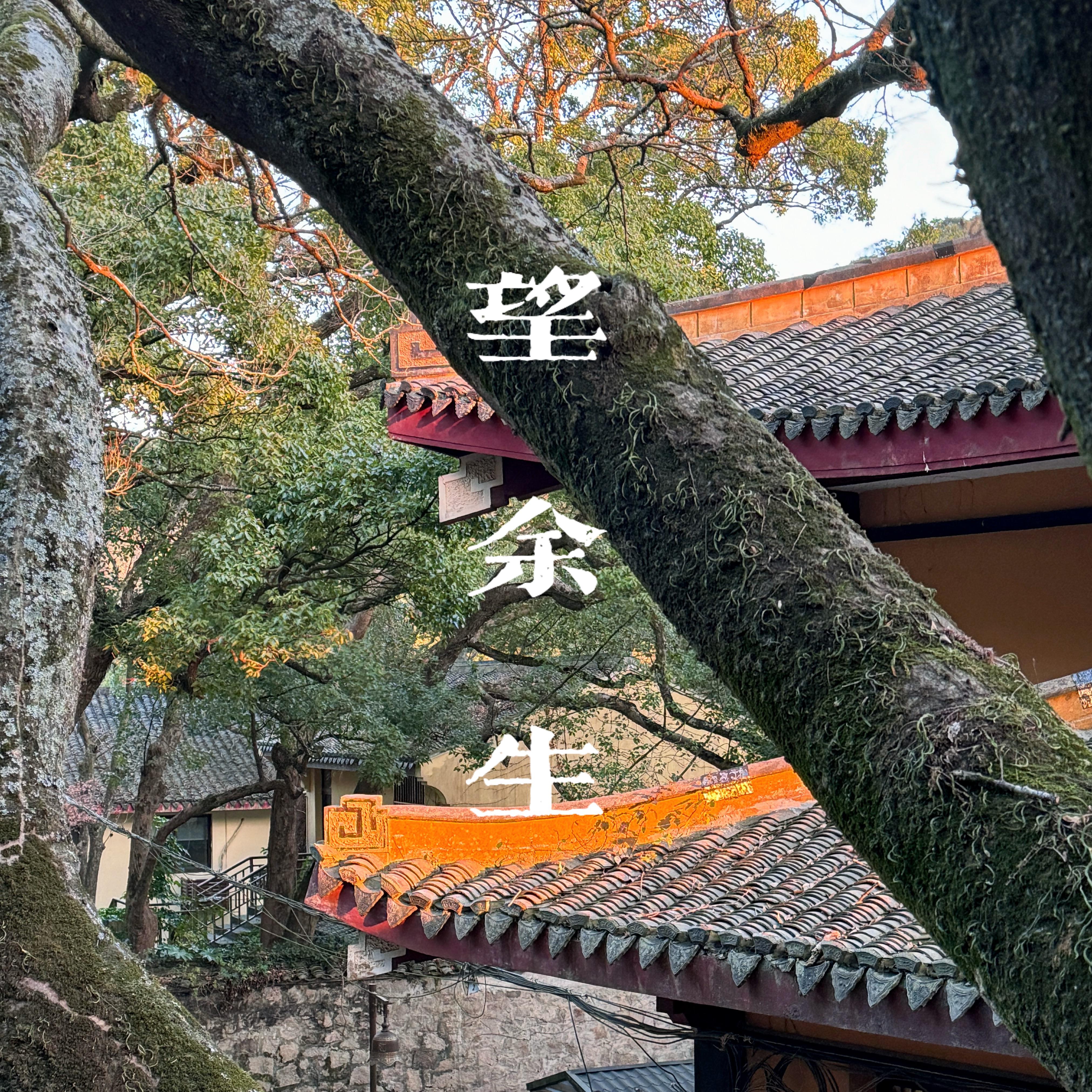 望余生
