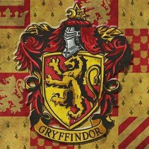 [Gryffindor·格兰芬多]这是狮子的姿态