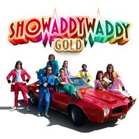 Showaddywaddy - Rock N Roll Lady (karaoke)