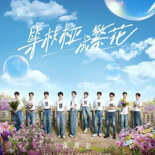 等枝桠 成繁花二巡歌单 | 在线播放 | 网易云音乐