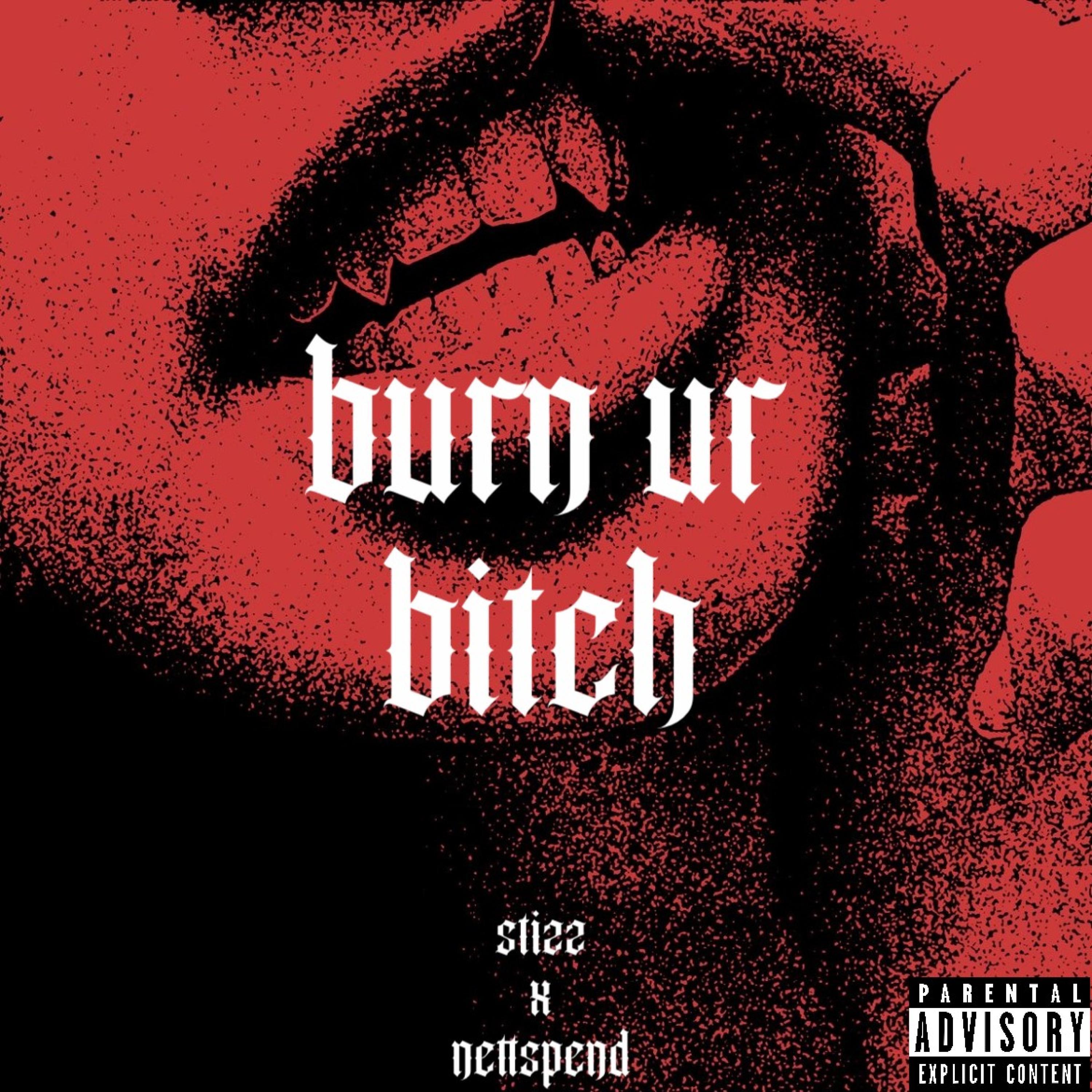 burn ur bitch (feat. nettspend)