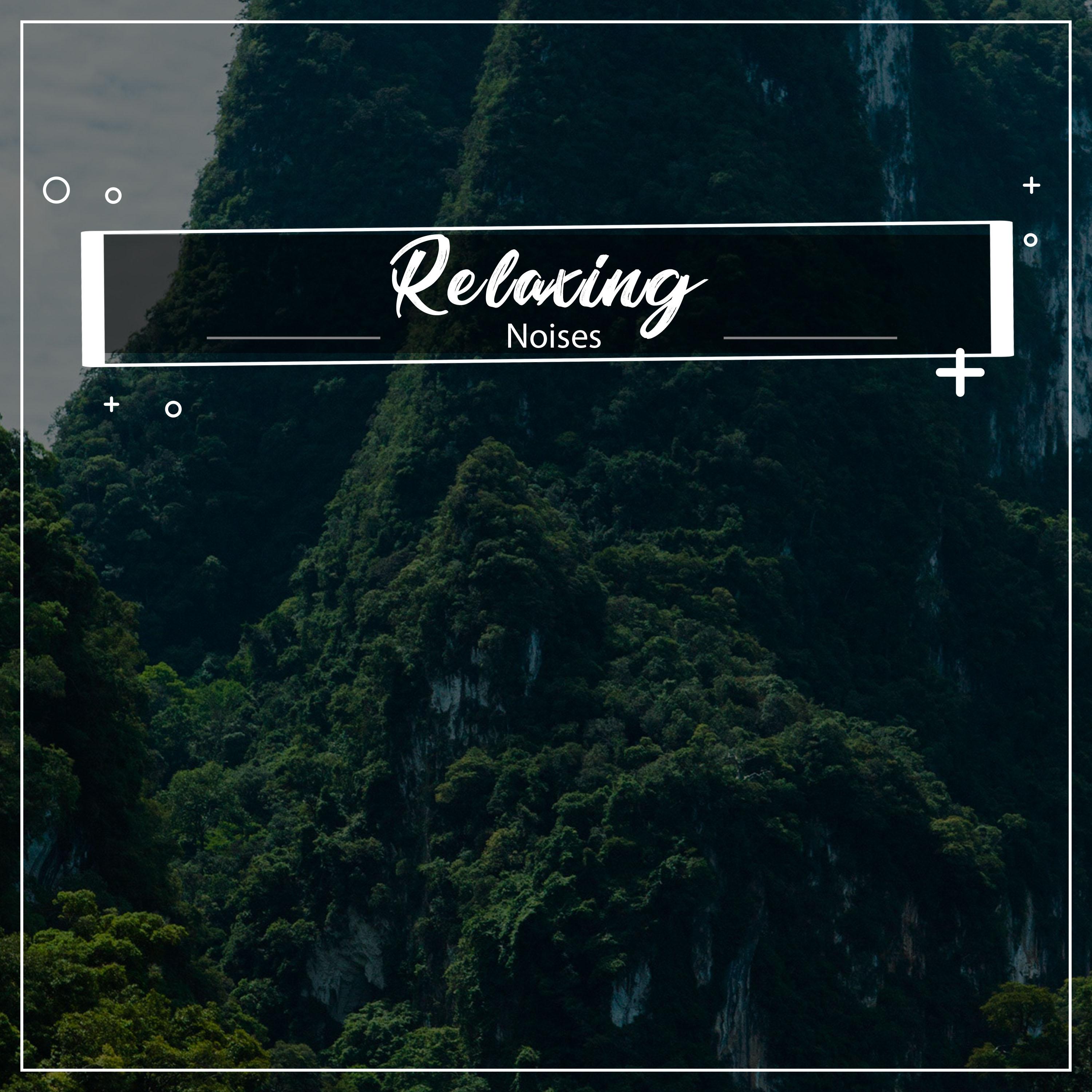 #14 Relaxing Noises to Aid Calm and Relaxation专辑