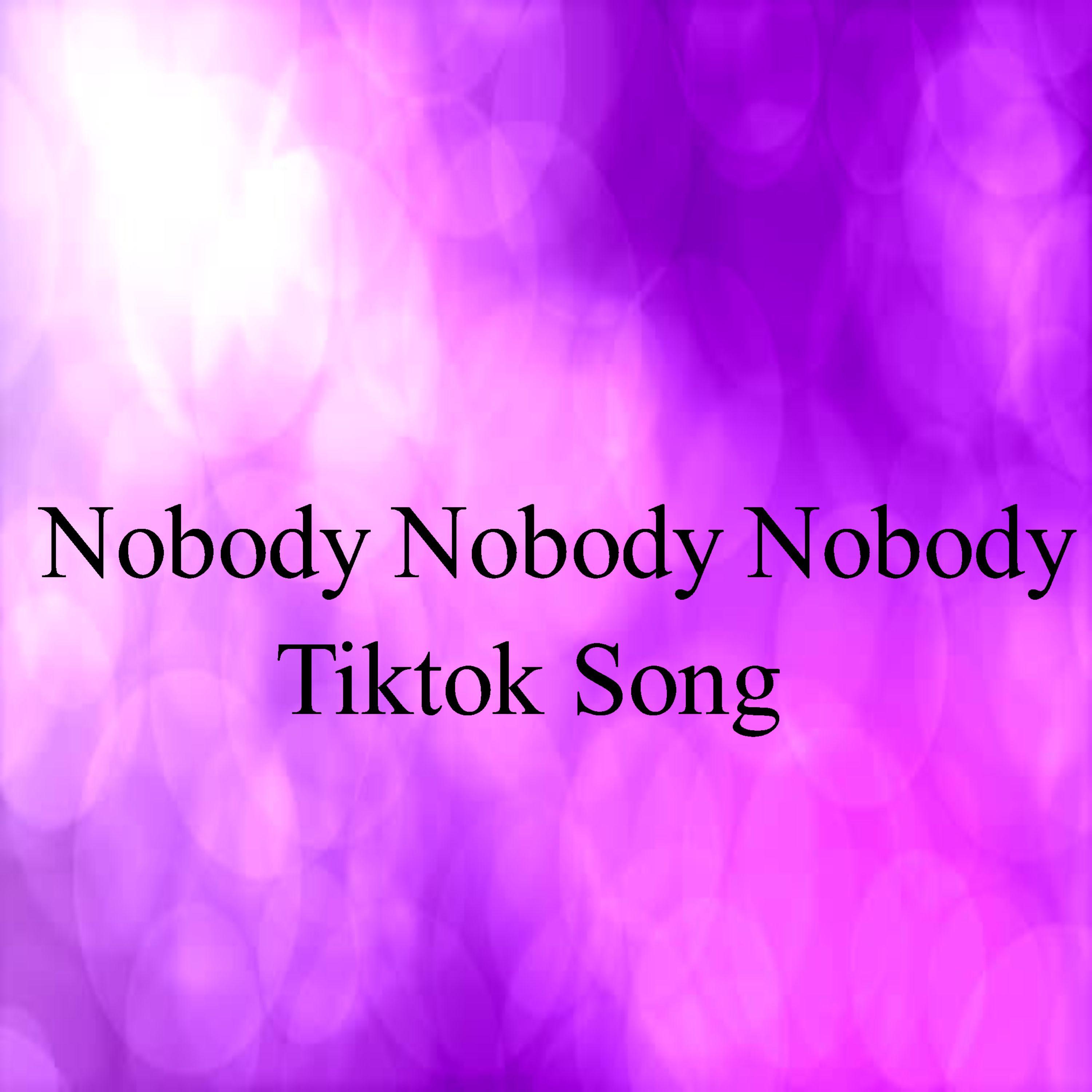 Nobody Nobody Nobody Tiktok Song