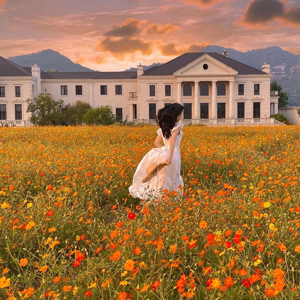 乡村民谣｜釆撷一园春日浪漫 沿花径奔向你