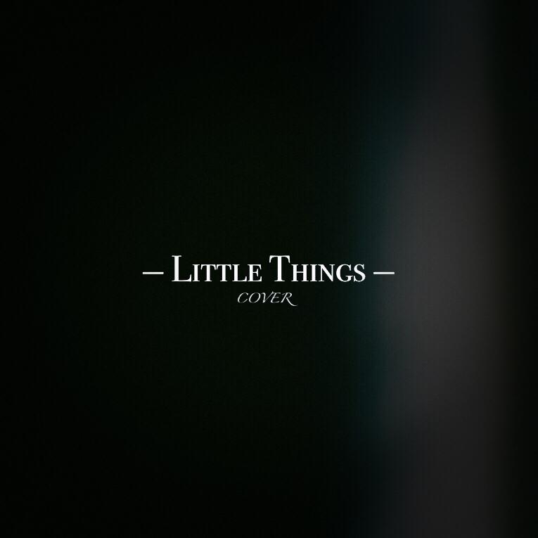 Little Things(COVER)专辑