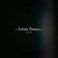 Little Things(COVER)