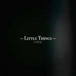 Little Things(COVER)专辑