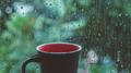 雨天专辑