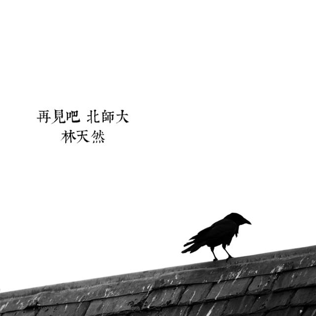 再见吧，北师大专辑