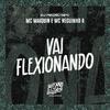 MC Maiquin - Vai Flexionando