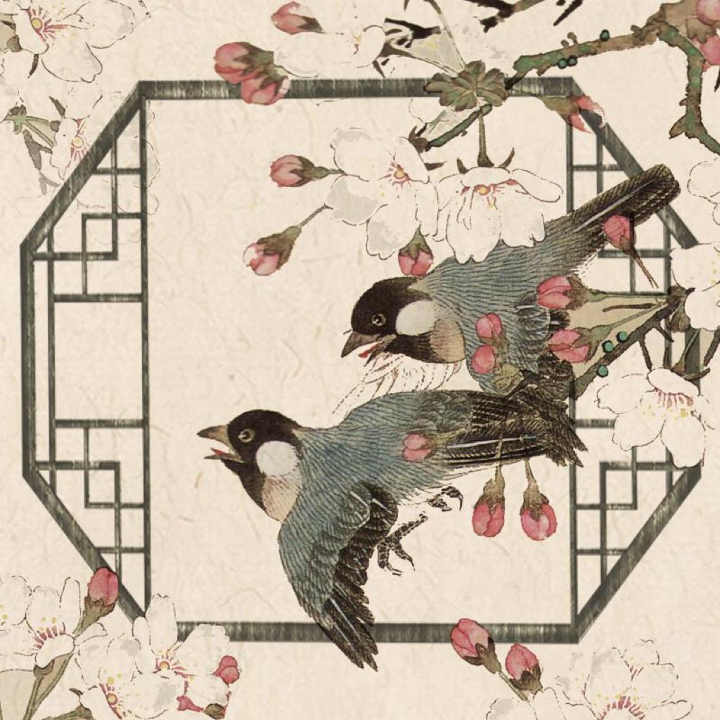 国风美少年 | 总冠军貳婶节目歌曲合集