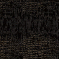 Blankey Jet City - SPAGHETTI HAIR