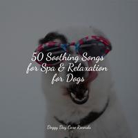 50 Soothing Songs for Spa & Relaxation for Dogs