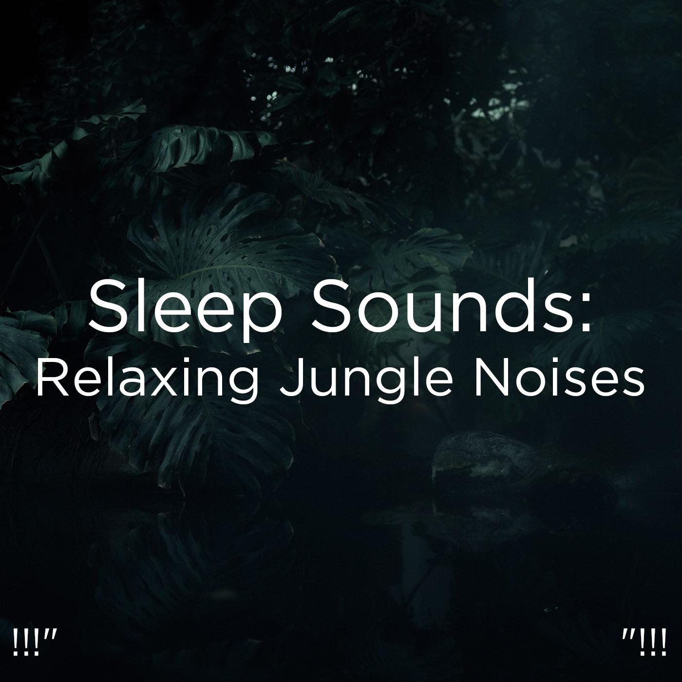 !!!" Sleep Sounds: Relaxing Jungle Noises "!!!