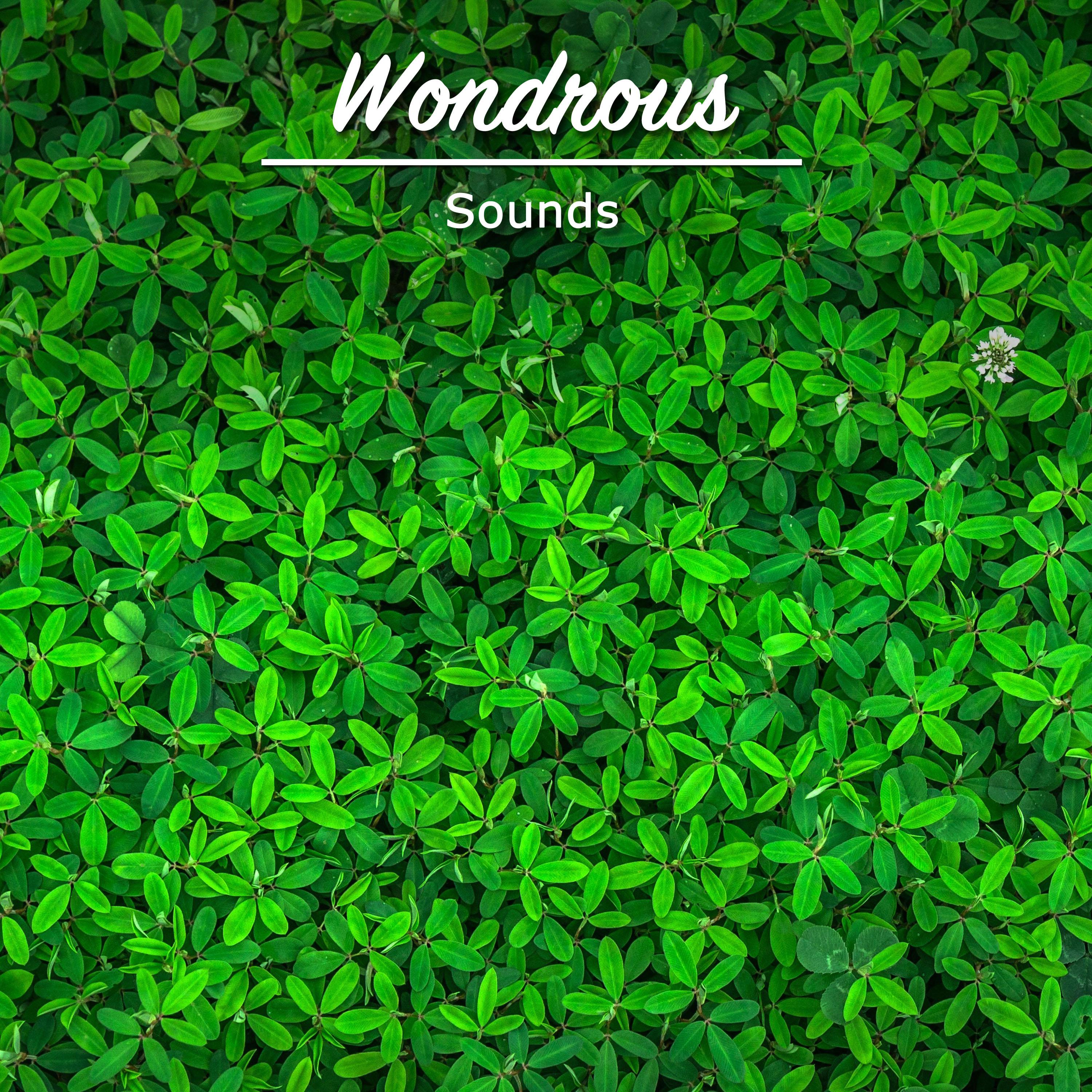 #15 Wondrous Sounds for Yoga专辑