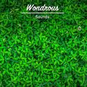 #15 Wondrous Sounds for Yoga专辑