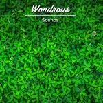 #15 Wondrous Sounds for Yoga专辑