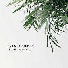 Rain Forest