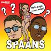 Harrie Snijders - Spaans