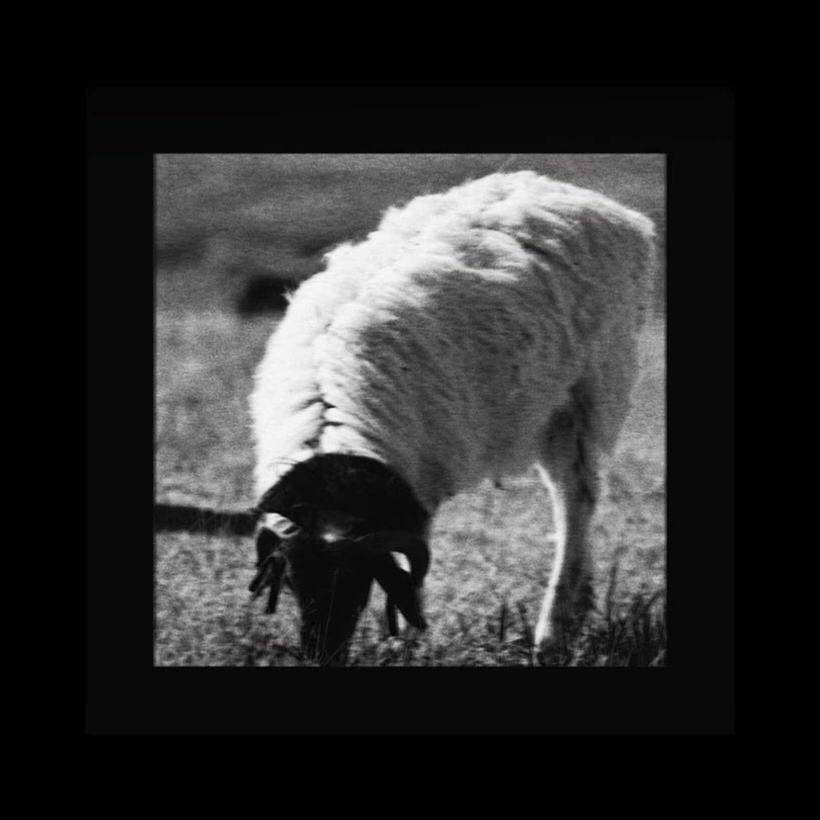 疆夏freestyle（prod by Jerry&Phantom）