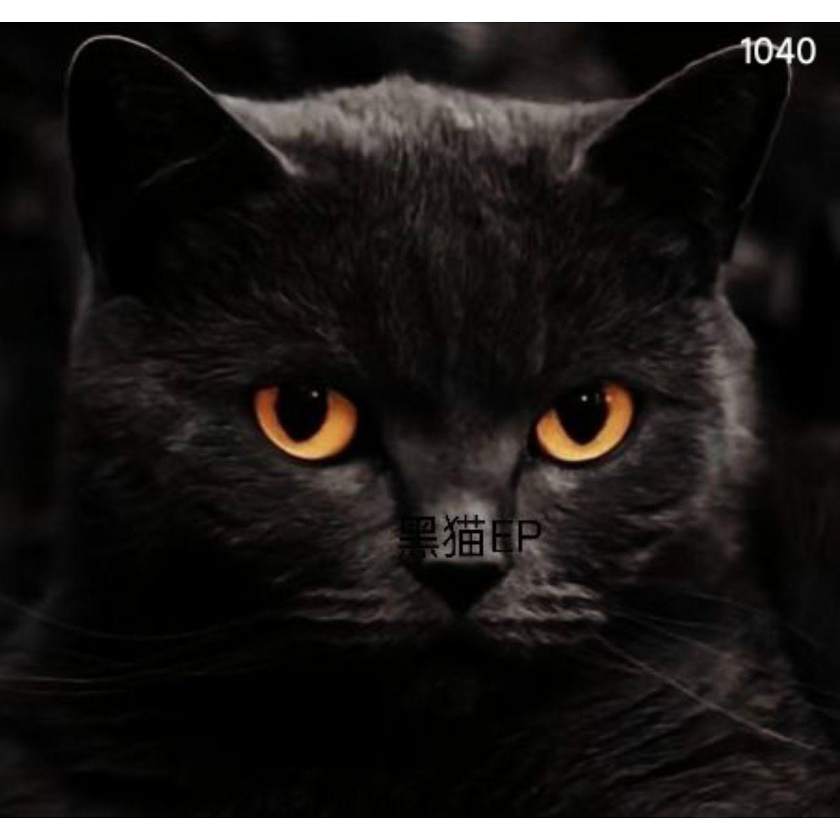 〖匿名投稿〗黑猫 EP
