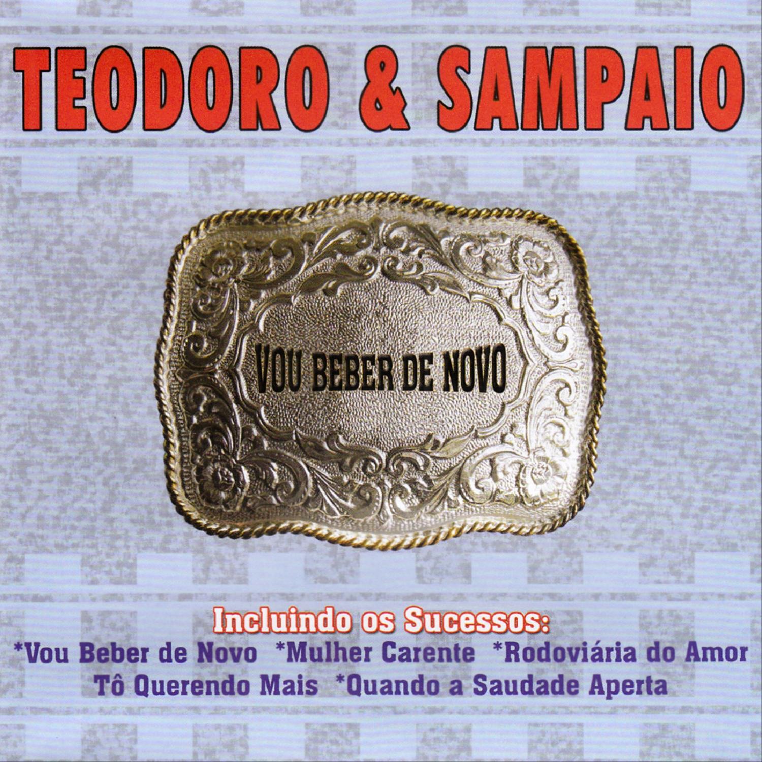 Vou Beber de Novo