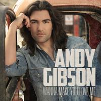 Andy Gibson - WANNA MAKE YOU LOVE ME