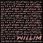 专辑《Find Your Way (Willim Remix)》