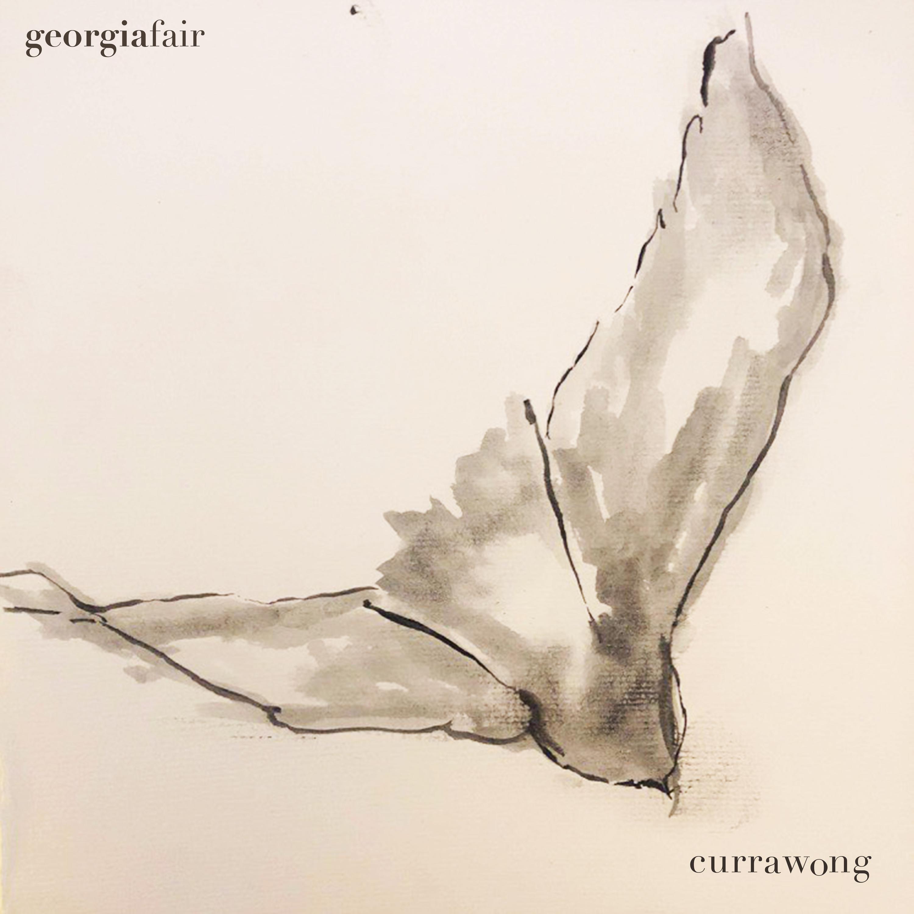 Currawong