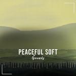 #20 Peaceful Soft Sounds to Calm the Mind专辑