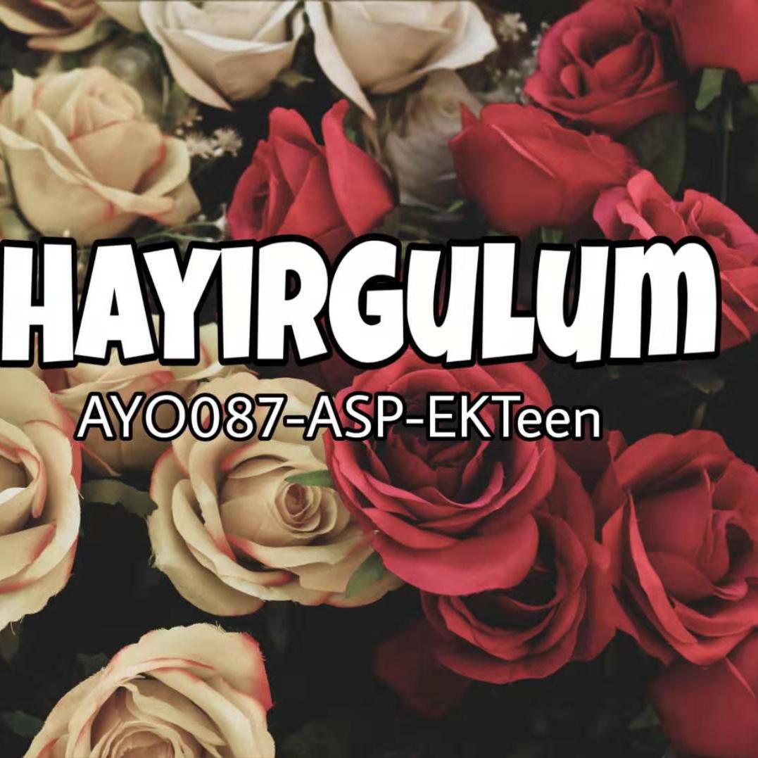 hayir gulum专辑